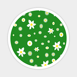 White and Yellow Daisies Magnet